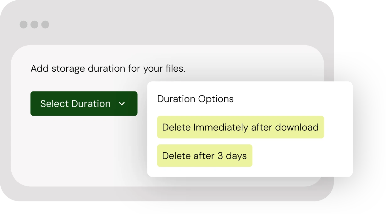 Secure File Handling & Automatic Deletion
